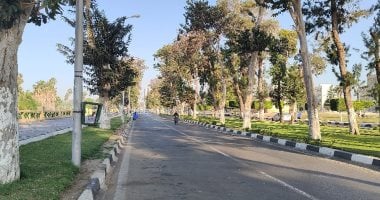 ارتفاع درجات الحرارة بالقاهرة ليصل العظمى إلى 38 درجة