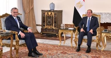 الرئيس السيسي يشدد على مستشار ترامب لوقف إطلاق النار في غزة