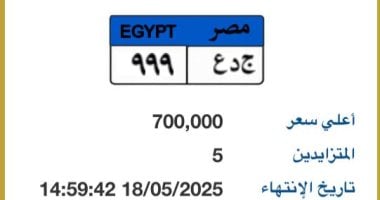بيع لوحة سيارة فريدة تحمل الرقم "جـ د ع - 999" بسعر 700 ألف جنيه