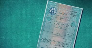 دليل المصريين بالخارج: خطوات استخراج شهادة ميلاد للمواليد في الخارج