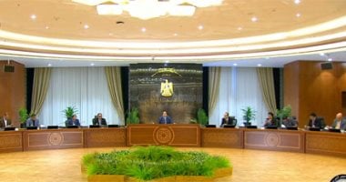 رئيس الوزراء: مصر تستقبل 4 سفن غاز وزيادة الإنتاج في سبتمبر