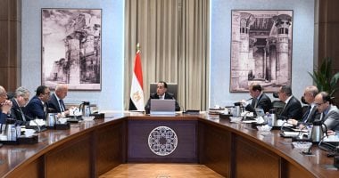 رئيس الوزراء يواصل متابعة تطوير المنظومة الجمركية وإجراءات التسجيل للشحنات