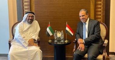 لقاء بين وزير الخارجية ووزير الدولة الإماراتي الهام
