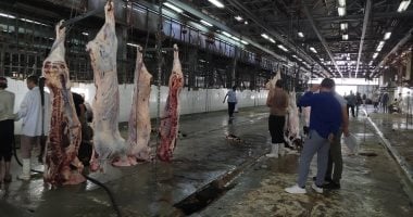 محافظ القاهرة يعلن عن 7 مجازر لاستقبال أضاحي العيد مجانا