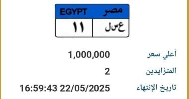 مزاد لبيع لوحة سيارة مميزة بسعر مليون جنيه رقمها "ع سـ ل 11"