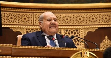 مشروع قانون انتخابات الشيوخ يحدد 37 دائرة فردية و4 قائمة وتعيين 100