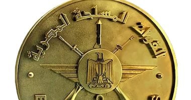 مصر تتلقى تعازي الأردن والإمارات والبحرين في حادث الطائرة