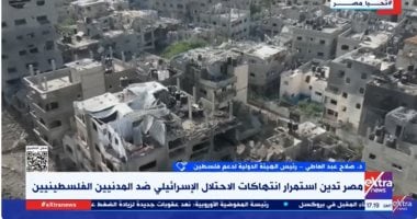 مصر ستظل داعمة للقضية الفلسطينية والأمن القومي العربي