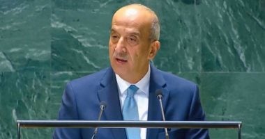 مندوب مصر لدى الأمم المتحدة: دور مصر الحيوي في تيسير الاستجابة لغزة