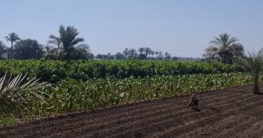 هيئة المجتمعات العمرانية الجديدة تكشف حقيقة تعديل اشتراطات الأراضي