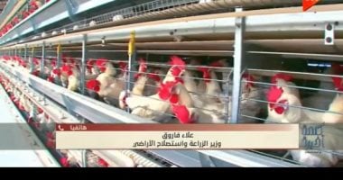 وزير الزراعة يؤكد عدم وجود وباء في الثروة الداجنة