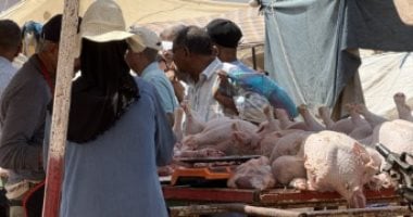 إقبال متزايد على "الديك الرومي" بعد إلغاء ذبح الأضاحي بالمغرب