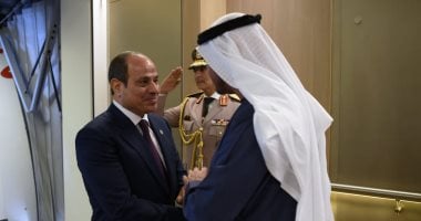 الرئيس السيسى والشيخ محمد بن زايد يؤكدان على سيادة الدول الشقيقة
