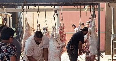 عقوبة ذبح الأضاحي في الشوارع 10 آلاف جنيه والمحافظ يعلن خدمات مجانية