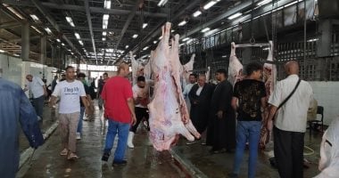 مجزر البساتين يفتتح خمس صالات لاستقبال أضاحي المواطنين مجانا