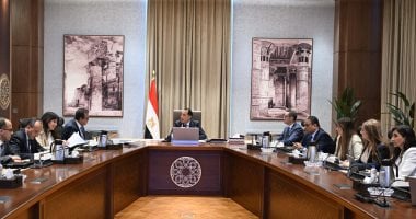 مدبولي يناقش فرص الاستثمار في الكهرباء والطاقة للعقد المقبل
