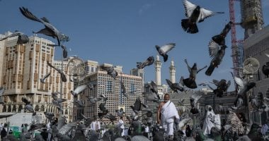 نجاح تدفق الحجاج من عرفات إلى المزدلفة بجهود بارزة