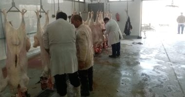 وزارة الزراعة: أكثر من 20 ألف أضحية ذُبِحت بالمجازر الحكومية مجانا