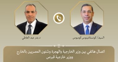 وزير الخارجية يناقش مع نظيره القبرصي جهود مصر لوقف النار في غزة