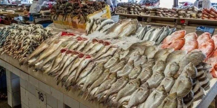 أسعار الأسماك اليوم الخميس 27 نوفمبر 2025