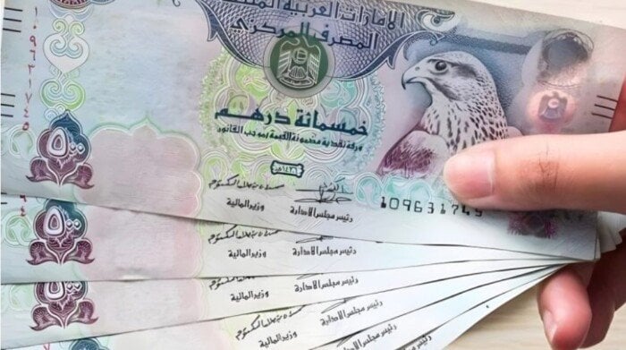 سعر الدرهم الإماراتي مقابل الجنيه اليوم الأحد 23 نوفمبر 2025