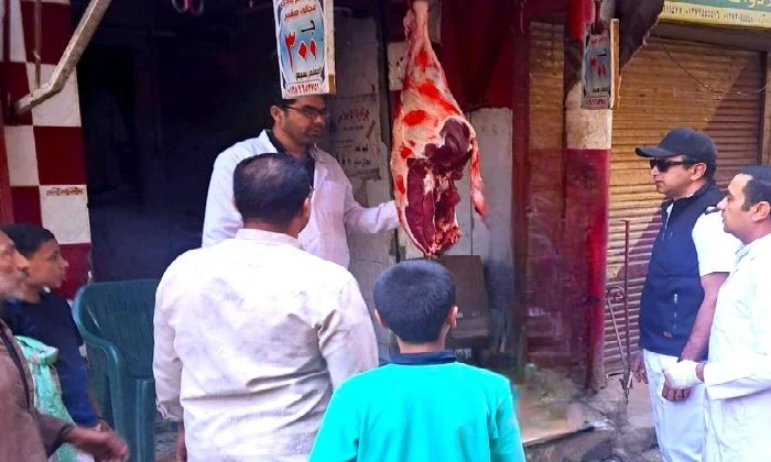 محظور ذبحها.. ضبط 132 رأس ماشية بتلو خارج المجازر الحكومية بالفيوم