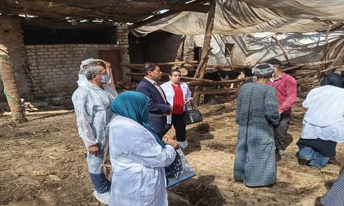 بيطرى الأقصر يحصن 19892 رأس حيوان ضد الأمراض الوبائية وينفذ 25 ندوة توعوية