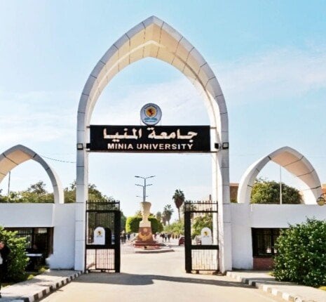 جامعة المنيا تحصد 3 اعتمادات جديدة: "الطفولة المبكرة" مؤسسيًا و"الميكاترونيات" تقود المستقبل