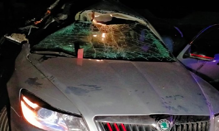 ذهاب بلاعودة.. تفاصيل حادث مأساوي أنهى حياة 5 أفراد من أسرة واحدة بالطريق الساحلي بكفرالدوار