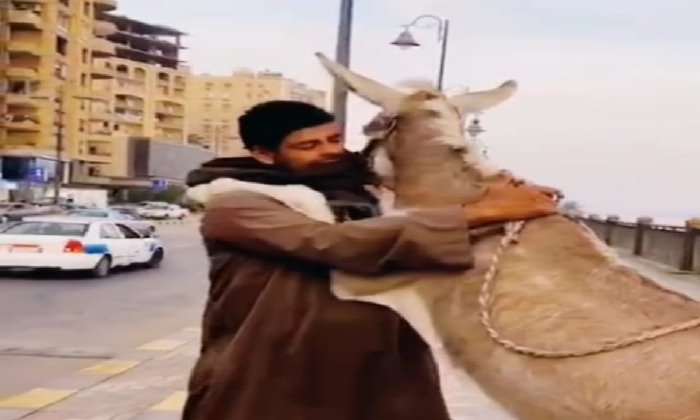 «سلو مع الحمار».. رقصة على كورنيش بني سويف تثير غضب السوشيال ميديا