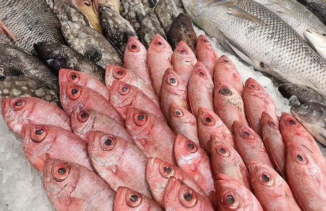 أسعار الأسماك اليوم السبت 6 ديسمبر 2025 في الأسواق
