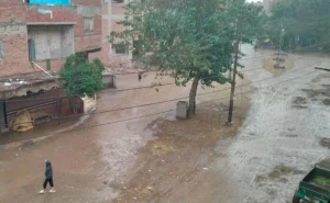 سقوط أمطار غزيرة بمختلف مدن وقرى القليوبية.. والمحافظة ترفع حالة الطوارئ