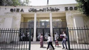 موعد افتتاح حديقة الحيوان بالجيزة 2025.. التفاصيل الكاملة