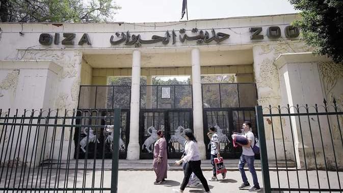 موعد افتتاح حديقة الحيوان بالجيزة 2025.. التفاصيل الكاملة
