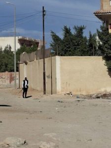 حملة لتحصين الكلاب الحُرّة ضمن خطة «مصر خالية من السعار 2030»