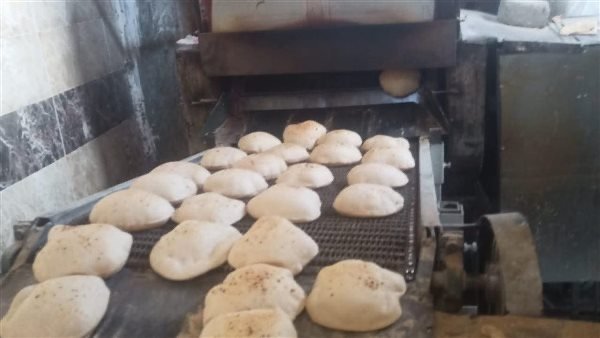 خلال حملات مكبرة.. تموين القليوبية يضبط لحوم بأختام مزورة ويحرر 87 مخالفة تموينية