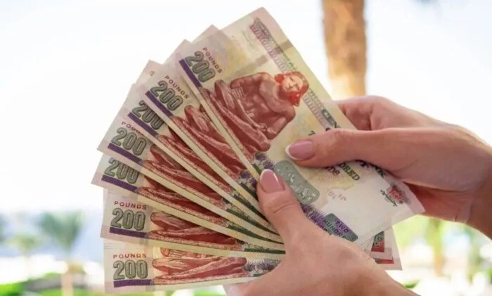 موعد صرف مرتبات شهر ديسمبر 2025 بالزيادة الجديدة وفق قرار المالية