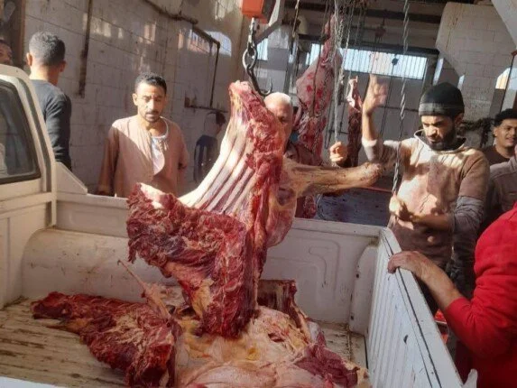 «خبز ناقص ولحوم فاسدة».. تحرير 3541 مخالفة خلال حملات على المخابز والأسواق بالمنيا