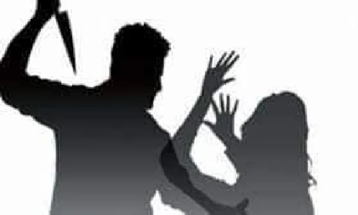 تفاصيل إنهاء حياة عروس المنوفية على يد زوجها بعد مشاجرة في أول أشهر زواجهما